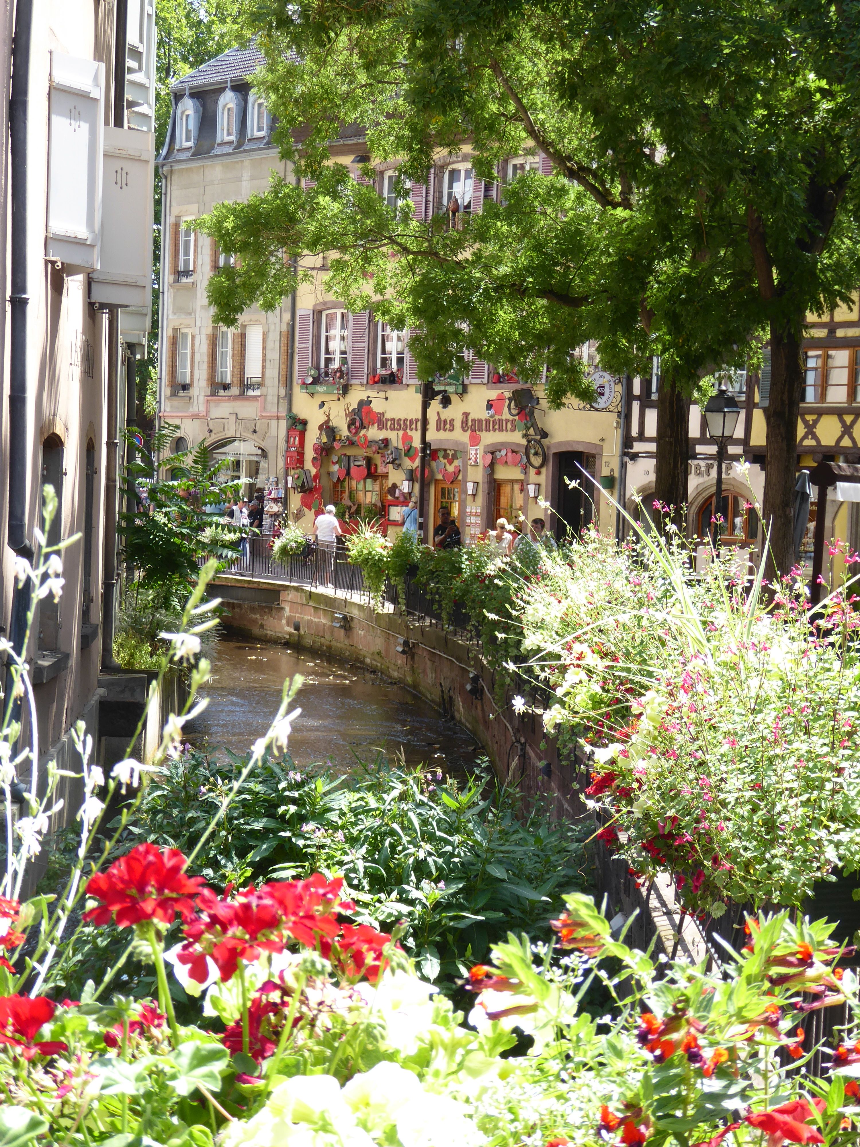 Colmar